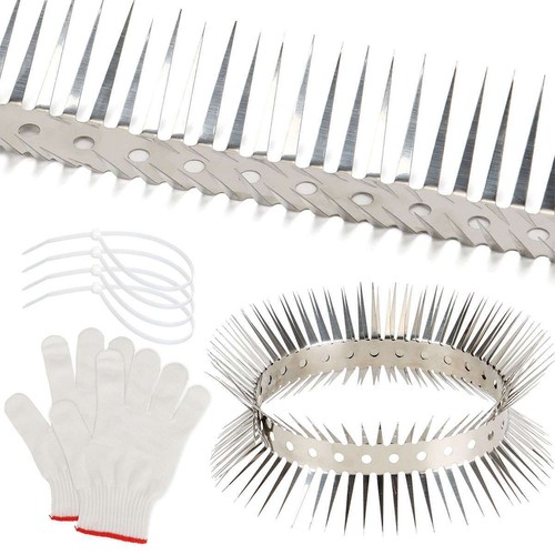 Bird spikes stainless - bird,