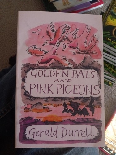 Golden bats and pink - golden,